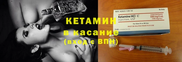 крисы Ельня