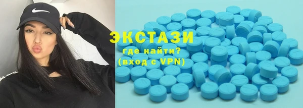 крисы Ельня