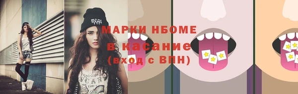 крисы Ельня