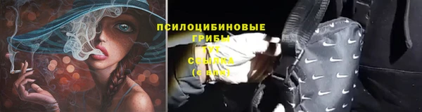 героин Елабуга