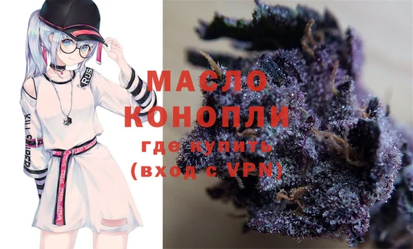 крисы Ельня