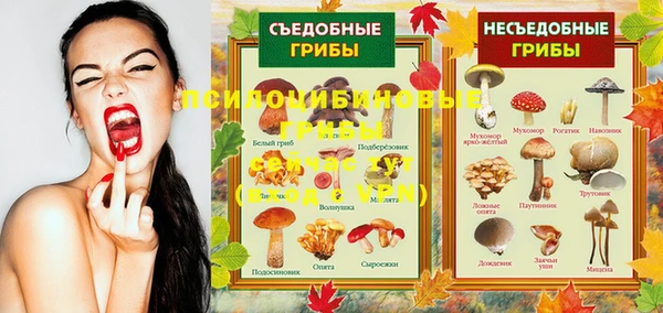 крисы Ельня