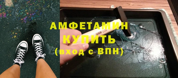 крисы Ельня