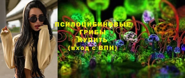 крисы Ельня