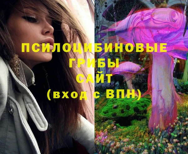 крисы Ельня