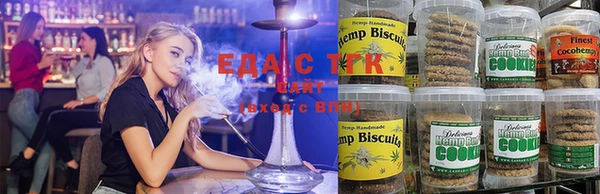 крисы Ельня