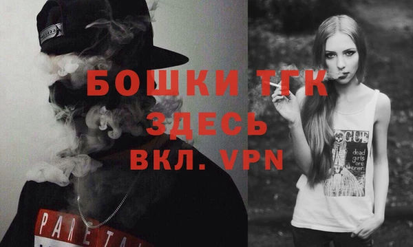 крисы Ельня