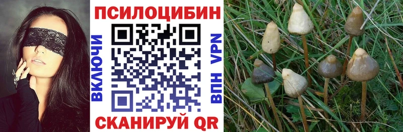 Галлюциногенные грибы GOLDEN TEACHER дарк нет состав Сольцы где продают